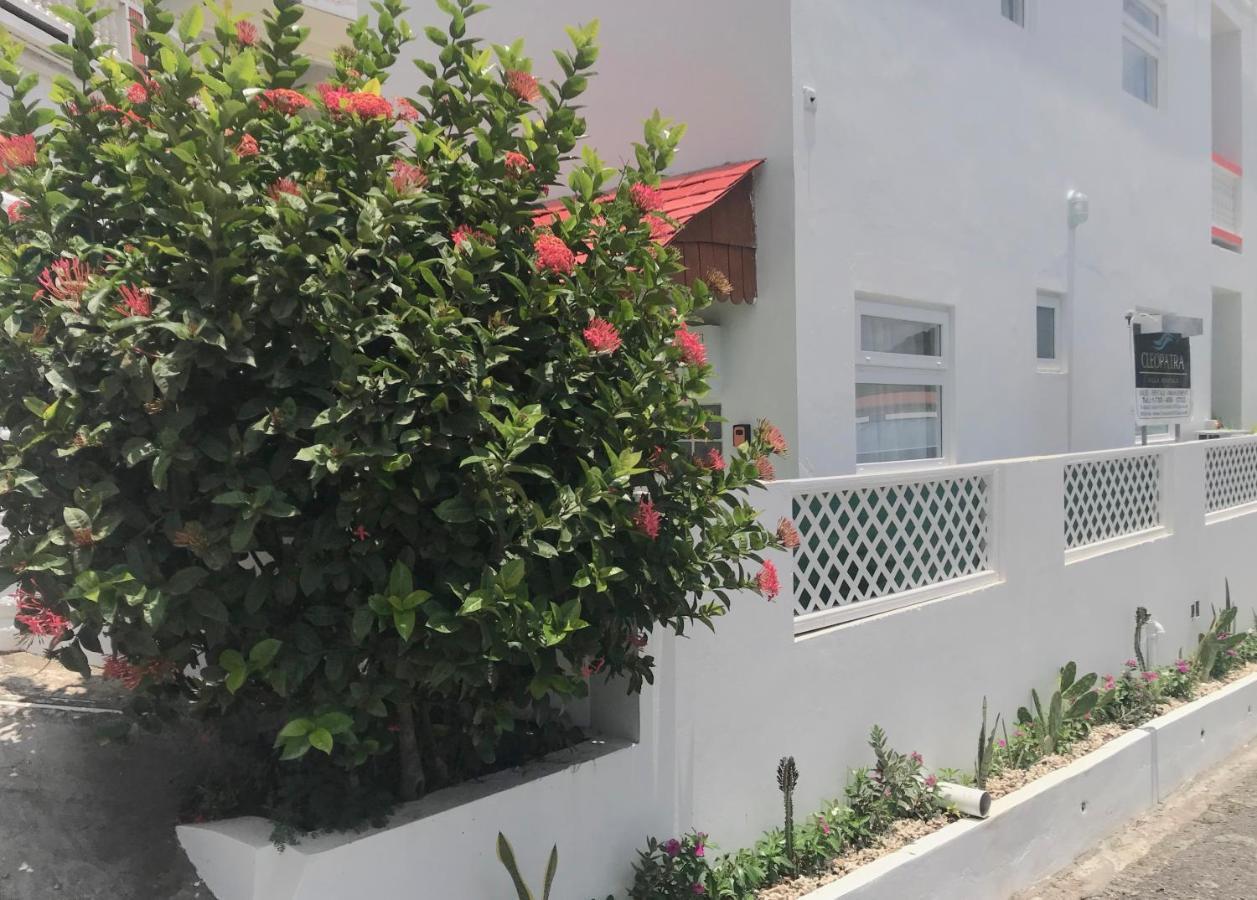 Cleopatra Villas - Sea View Rodney Bay Extérieur photo